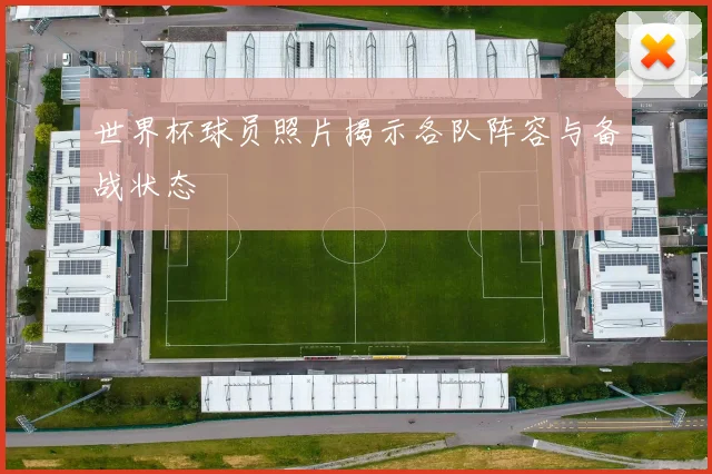 世界杯球员照片揭示各队阵容与备战状态