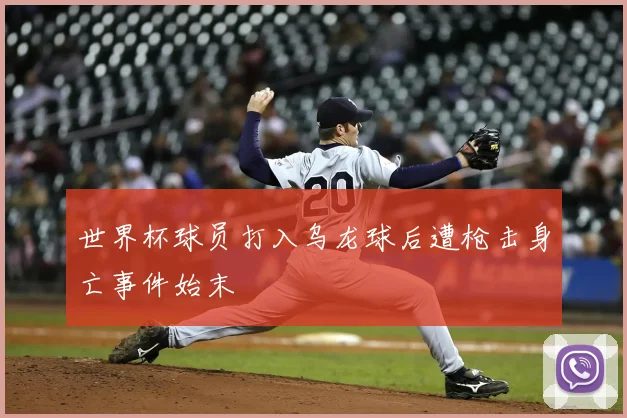 世界杯球员打入乌龙球后遭枪击身亡事件始末