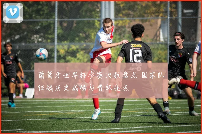 葡萄牙世界杯参赛次数盘点 国家队征战历史成绩与晋级亮点