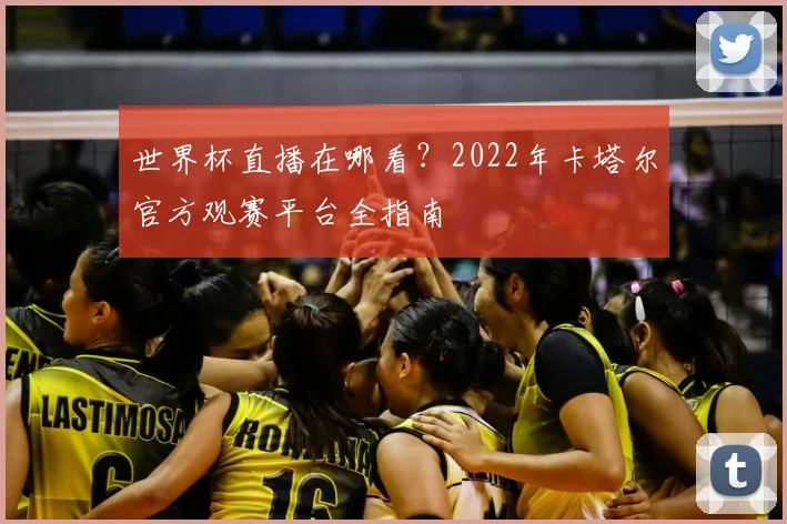世界杯直播在哪看？2022年卡塔尔官方观赛平台全指南
