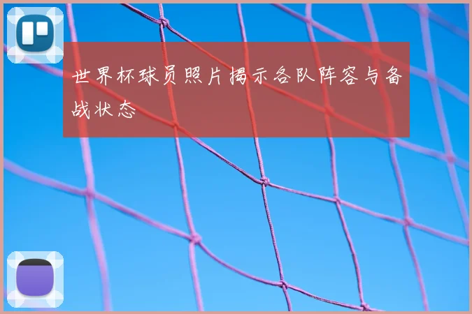 世界杯球员照片揭示各队阵容与备战状态